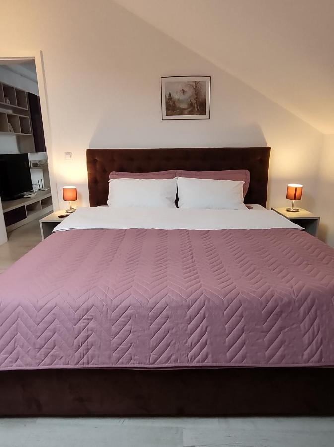 Simona Apartament Palas Mall ياش المظهر الخارجي الصورة