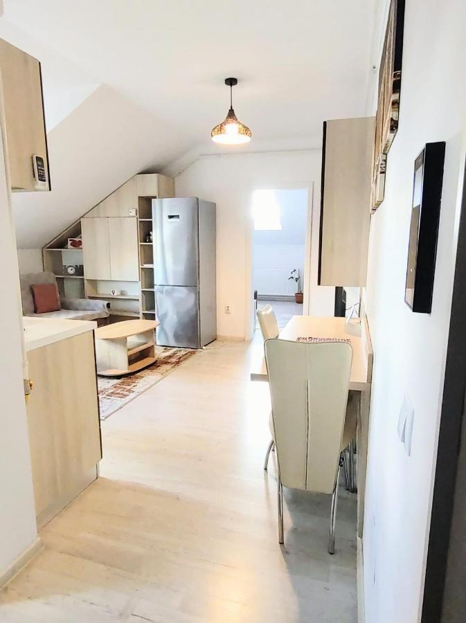 Simona Apartament Palas Mall ياش المظهر الخارجي الصورة