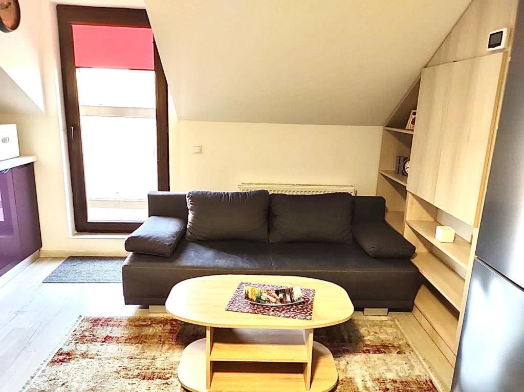 Simona Apartament Palas Mall ياش المظهر الخارجي الصورة