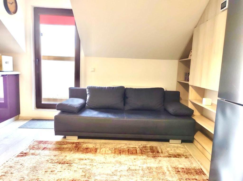 Simona Apartament Palas Mall ياش المظهر الخارجي الصورة